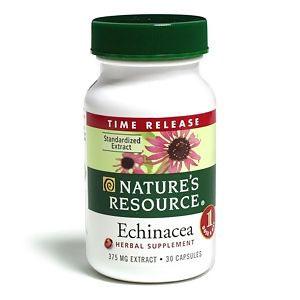 What is echinacea good for?