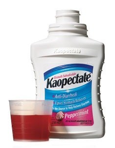 Can I Give My Dog Kaopectate? | How Safe is Kaopectate for Dogs?