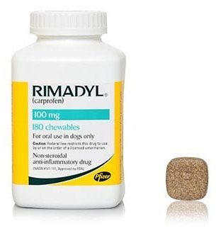 tramadol safer than rimadyl