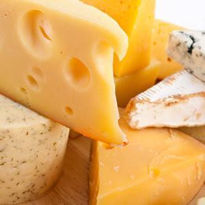 Can Dogs Eat Cheese?