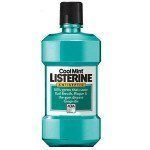 Can Dogs Drink Listerine?