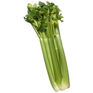 Can I Give My Dog Celery?