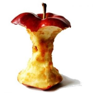 Your Dog Can Eat Apples | Just Avoid These Mistakes!