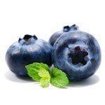 Can I give my dog blueberries?