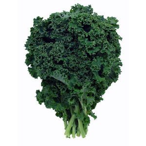 Can Dogs Eat Kale?