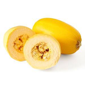 Can Dogs Eat Squash?