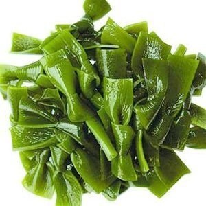 Can Dogs Eat Kelp?
