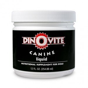 Is Dinovite Worth It Just Hype or Hound Healthy