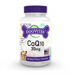 Can Dogs Take CoQ10?