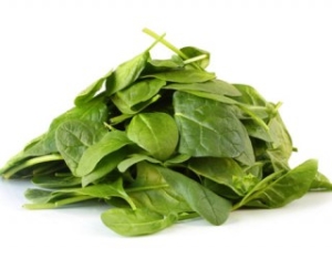 Can Dogs Eat Spinach?