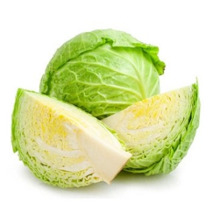 Can Dogs Eat Cabbage?